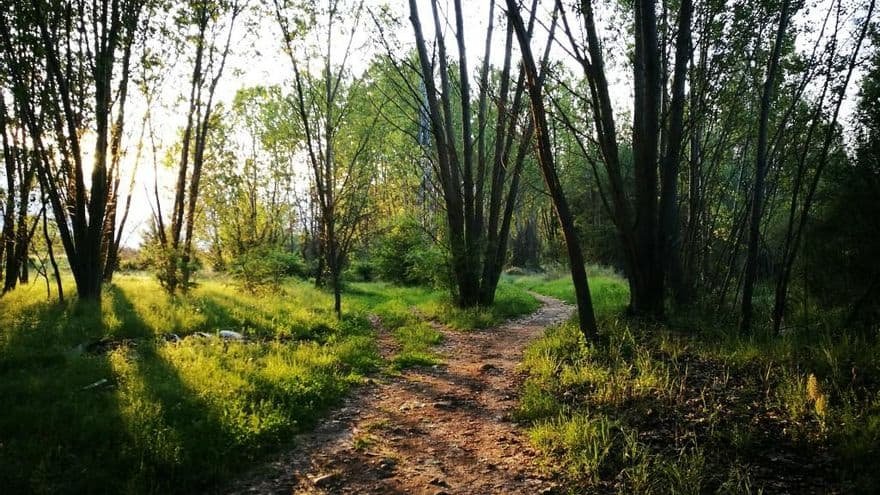 Sendero natural junto al río Bernesga en León, ideal para pasear y relajarse - qué ver en León en un día.