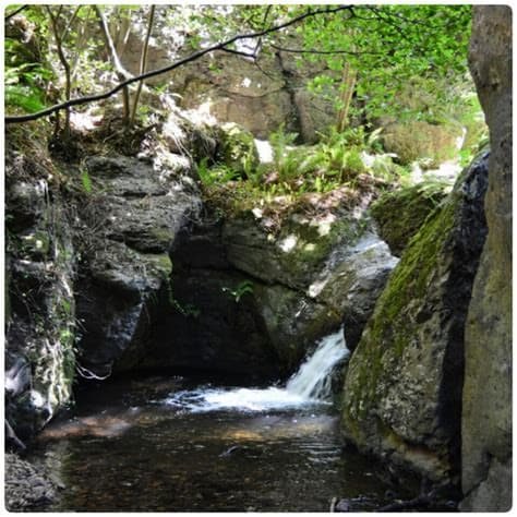 Pozas naturales del arroyo Górgora en Crémenes, entre cañones de roca y aguas turquesas - pozas naturales en León