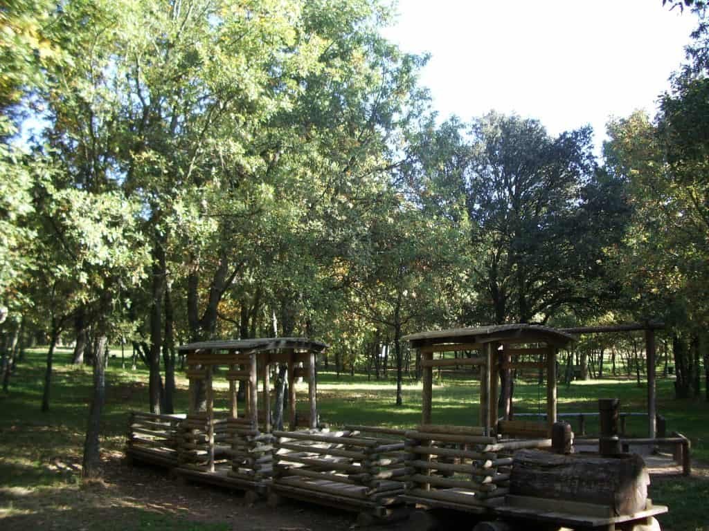 Área de picnic en el Parque Monte San Isidro, ideal para pasar un día al aire libre con niños en León.