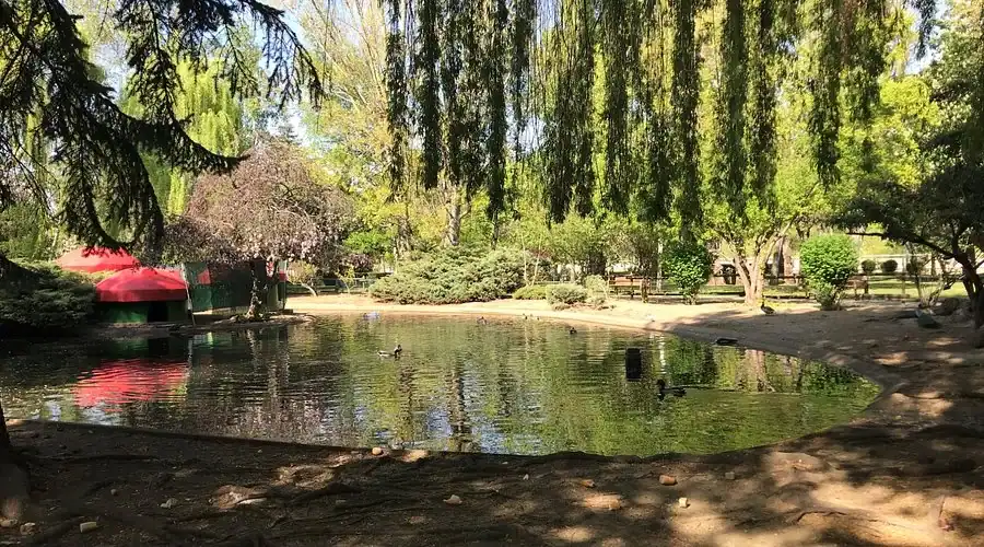 Aviario del parque de Quevedo en el Crucero - barrios de León