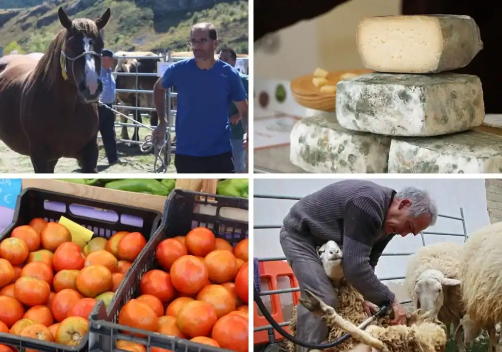 Ferias y romerías en León 2025