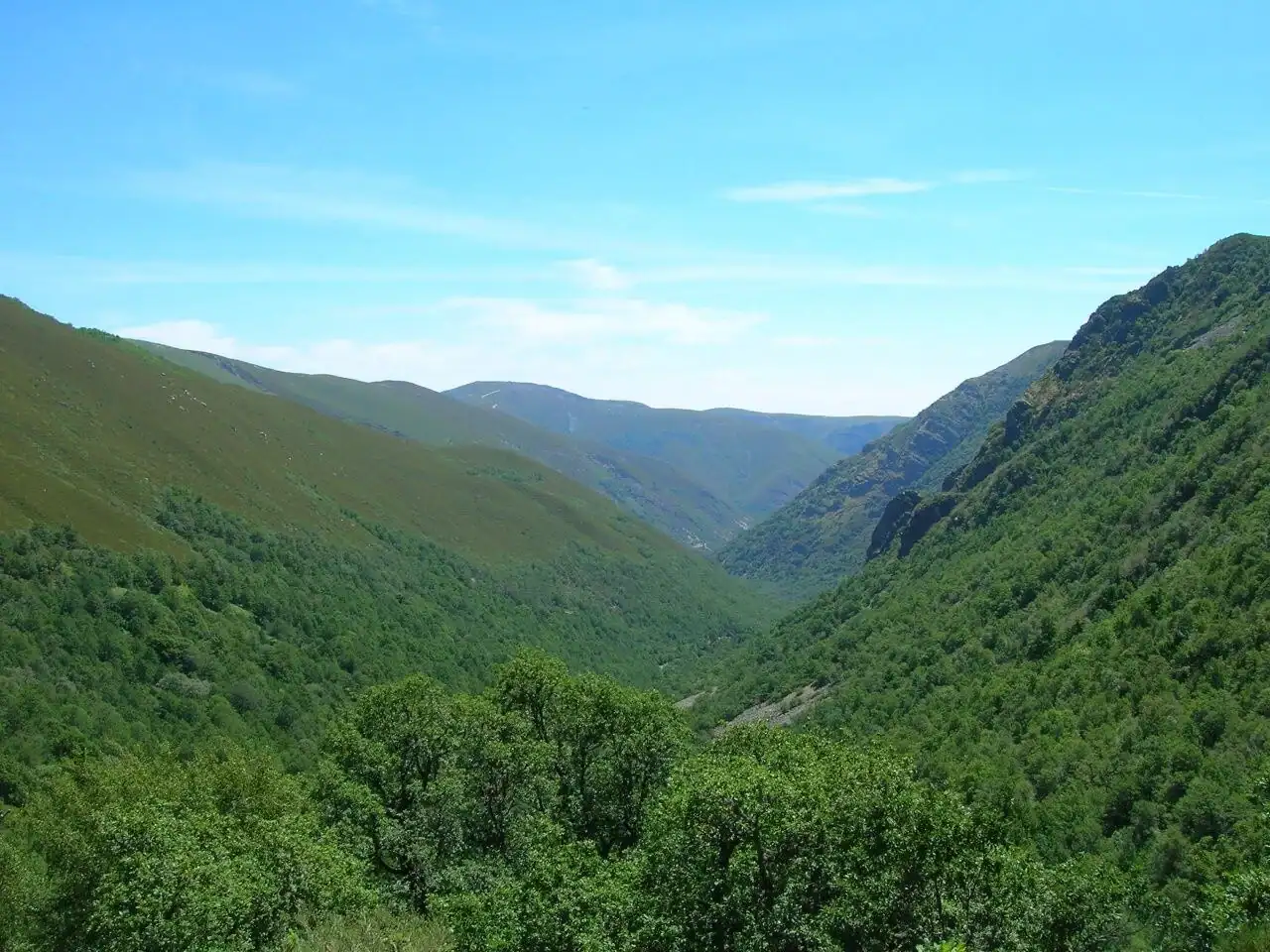 Camino rural entre robles en la ruta de senderismo entre Vega de Espinareda y Sésamo - qué ver en Vega de Espinareda