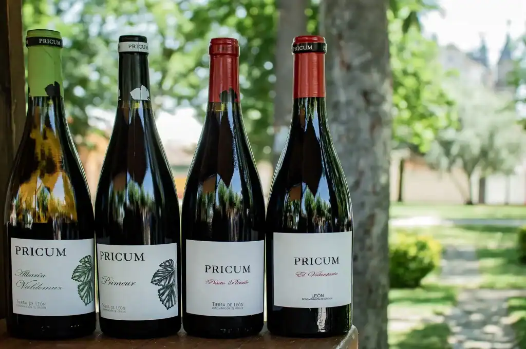 Vinos D.O. León - Feria del Vino Gordoncillo 2025