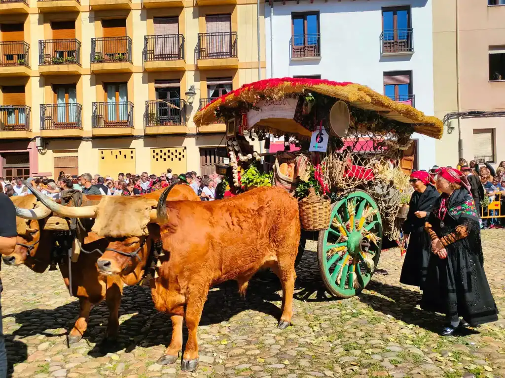 Tradicional desfile de carros que podrás vivir en San Froilán León 2025