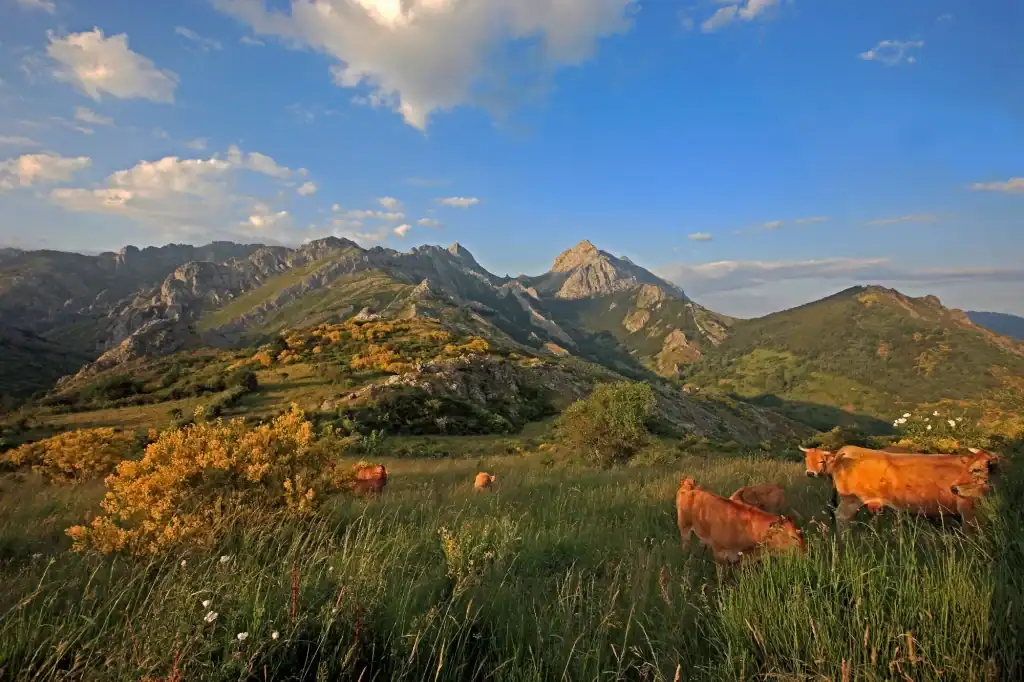 Montaña de Riaño y Mampodre - escapadas de montaña en León