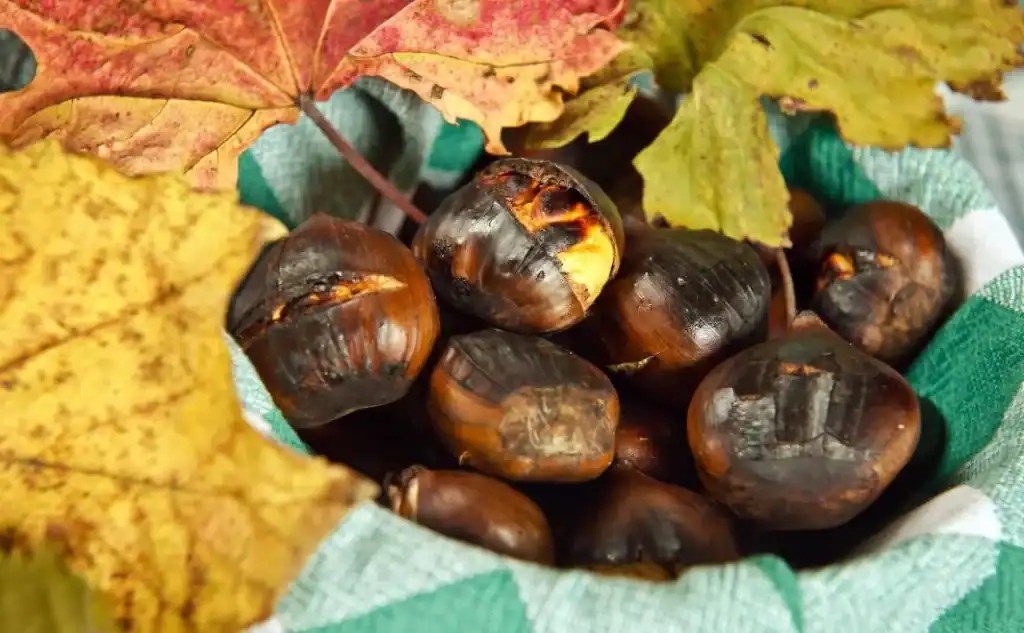 Magosto, dulce típico para el Día de Todos los Santos en León