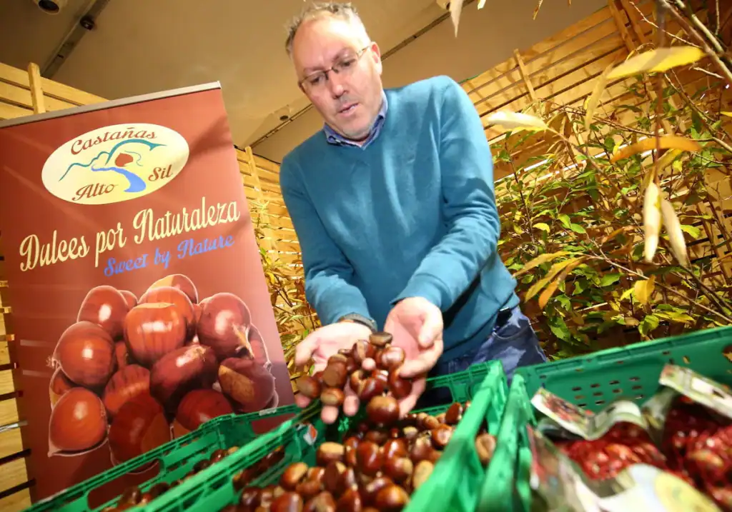 BioCastanea 2025 en Carracedelo - ferias en León noviembre 2025